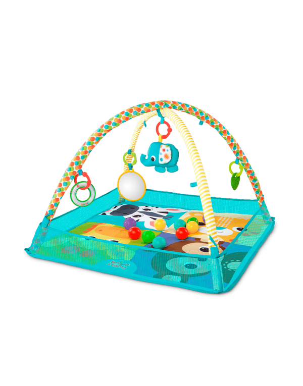 Gimnasio More-in-One Ball Pit Fun